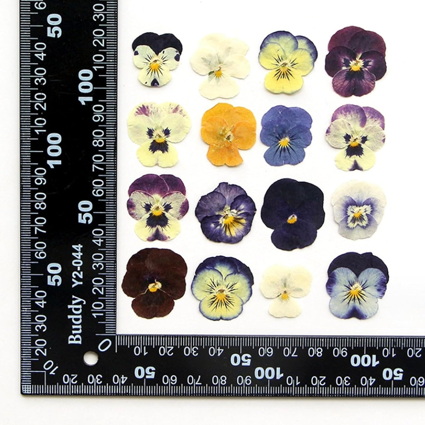 54 Pcs Dried Pressed Flowers for Resin DIY Art Crafts Natural Dry Floral Epoxy Jewelry Real Flower Decor Cakes Phone Cases Candles Handmade Soap Purple Pansy