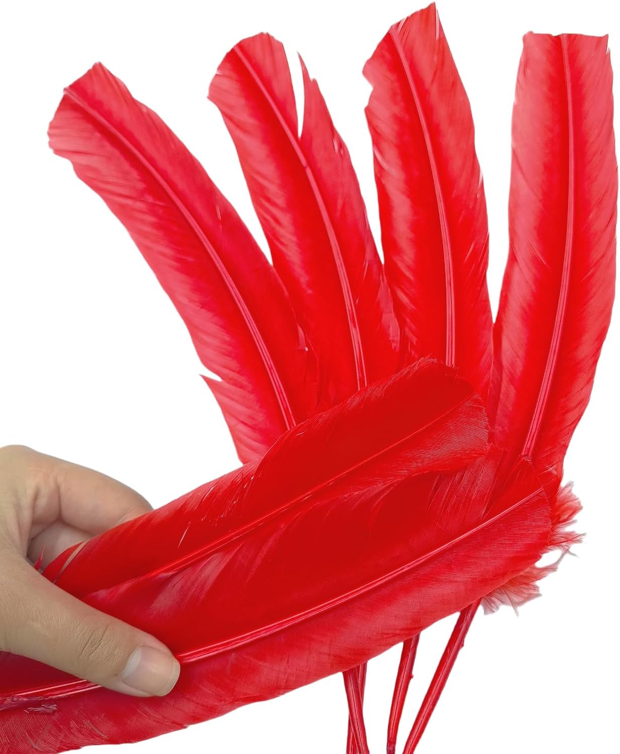 Red Turkey Feathers,22 Pcs Natural Feathers Bulk Long 10-12 inch (25-30cm),Turkish Feather for Crafts DIY Wedding Home Party Mardi Gras Decorations (Red)