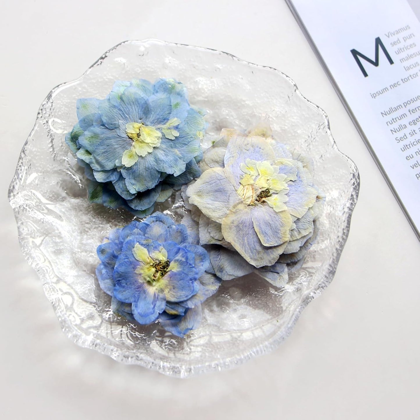 48 Pcs Dried Pressed Flowers for Resin DIY Art Crafts Natural Dry Sakura Larkspur Floral Epoxy Jewelry Real Flower Decor Cakes Phone Cases Candles Handmade Soap