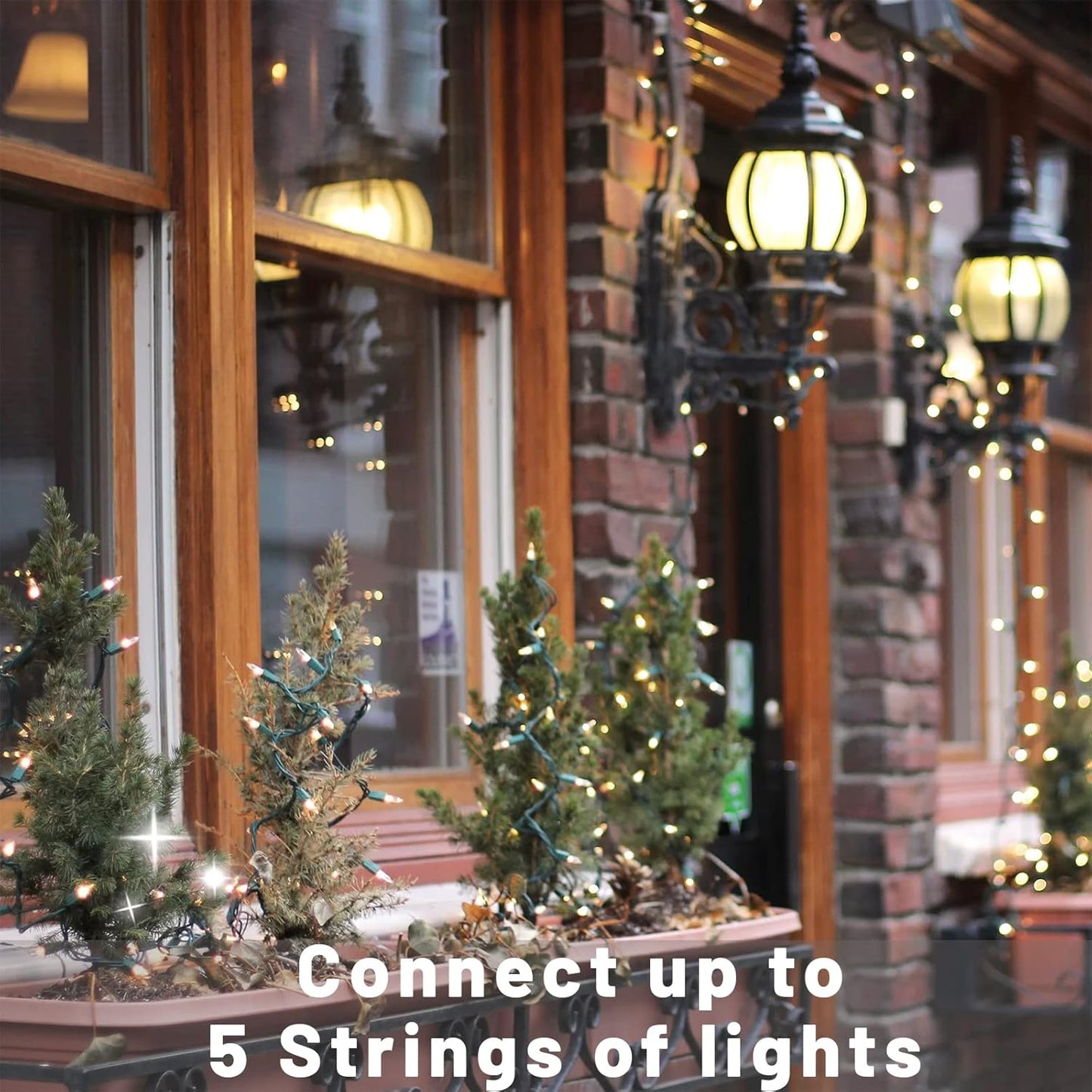 Christmas Lights for Tree 20Ft 100 Count Mini Lights Green Wire Christmas Tree Lights Waterproof Incandescent Bulb for Indoor Outdoor Xmas Holiday Wedding Home Party Decorations Clear