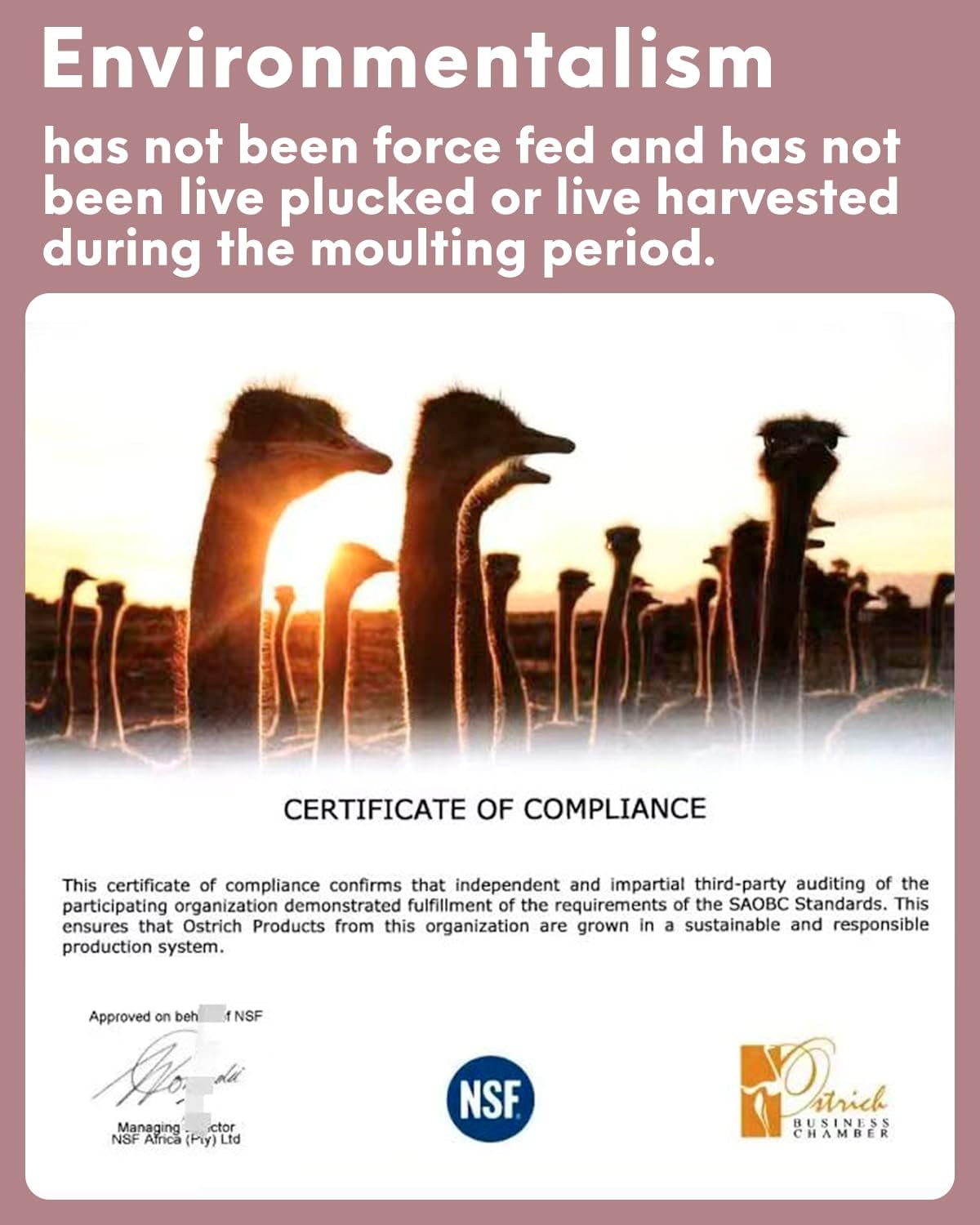 NEWONG 30pcs Peony Pink Ostrich Feathers Natural Bulk 8-10inch(20-25cm) Vase Craft Wedding Home Party Centerpieces Christmas Day Decoration