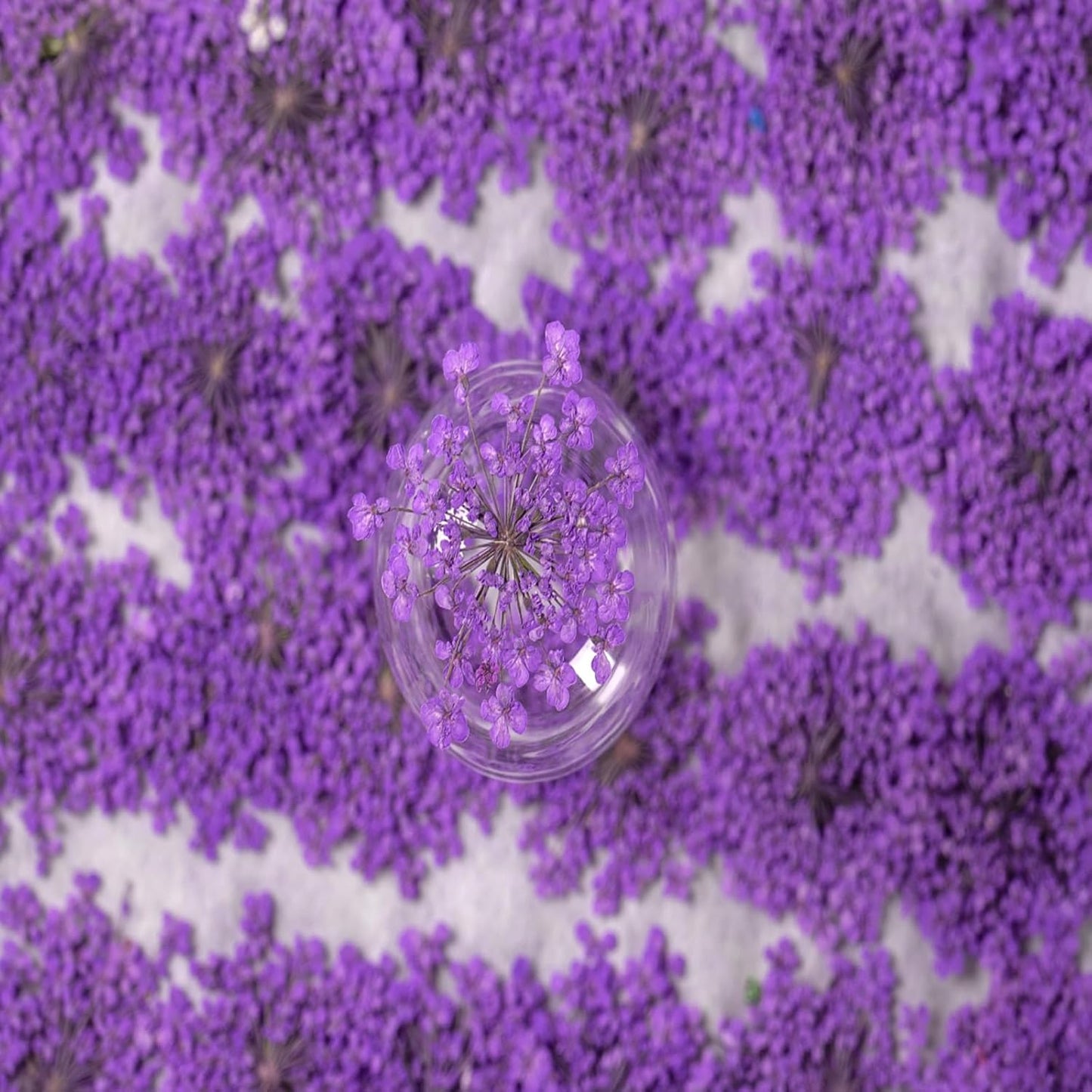 60 Pcs Dried Pressed Flowers for Resin DIY Art Crafts Natural Dry Floral Epoxy Jewelry Real Lace Flower Decor Cakes Phone Cases Candles Handmade Soap Mix Lace Flower