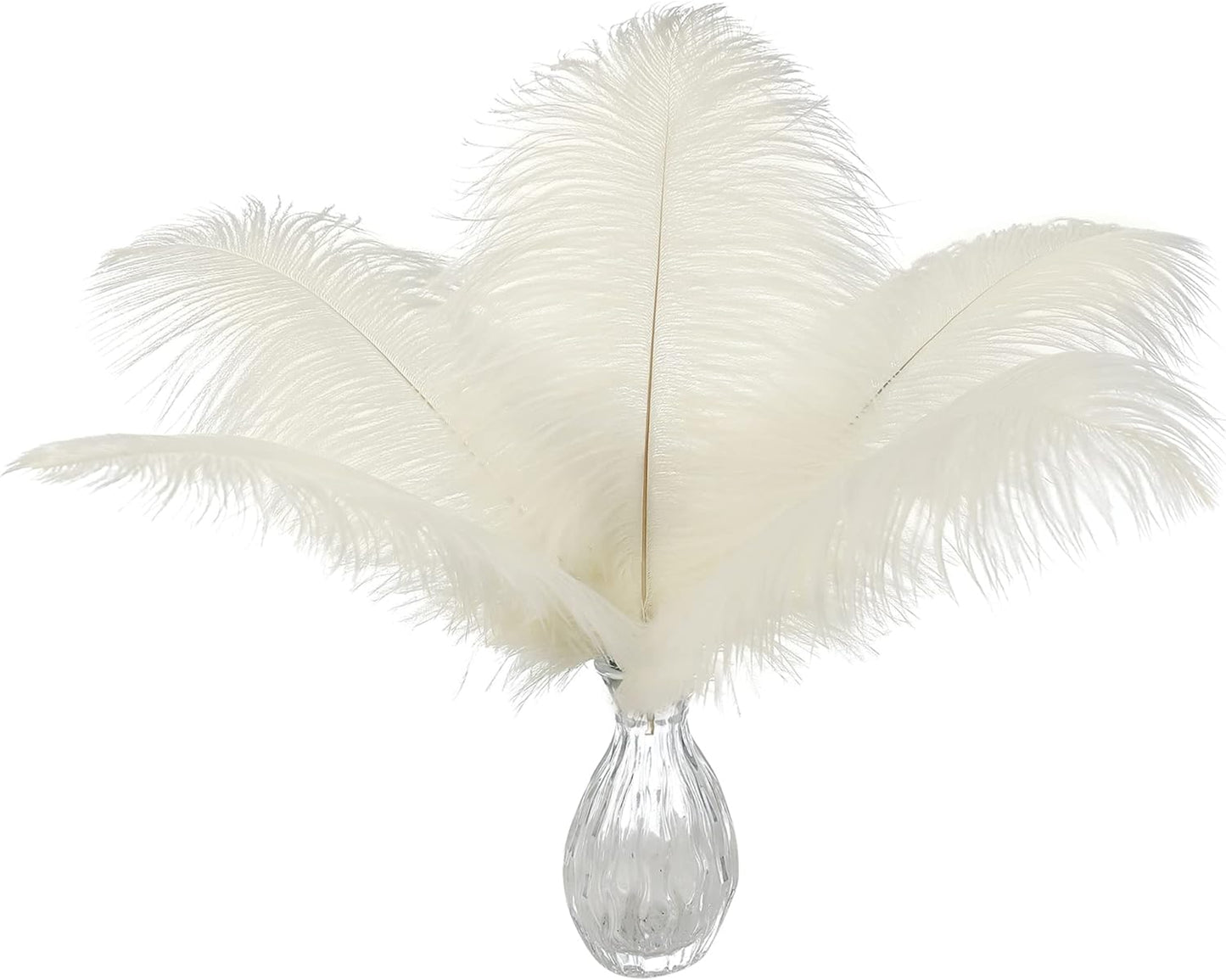 Ballinger Beige Ostrich Feathers Bulk - 24pcs 8-10inch Cream Feathers for Crafts,Wedding Party Centerpieces and Home Decor