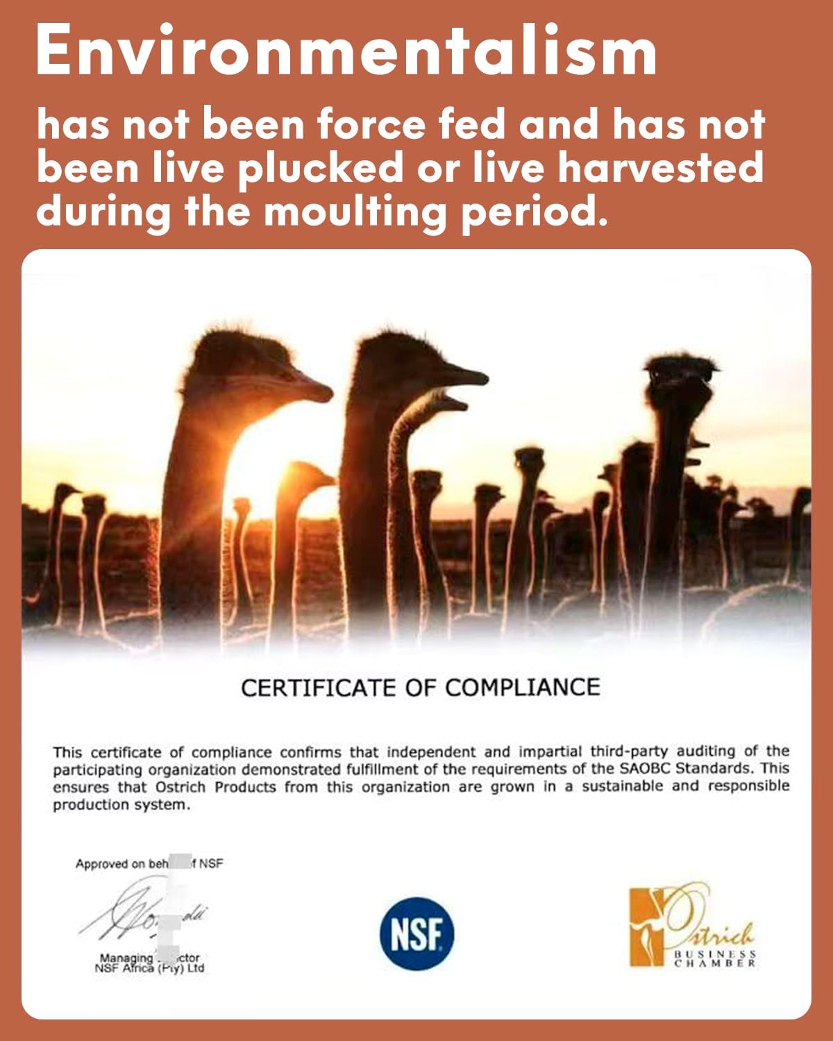 NEWONG 30pcs Brown Ostrich Feathers Natural Bulk 8-10in（20-25cm） Vase Craft Wedding Home Party Centerpieces Christmas Day Decoration