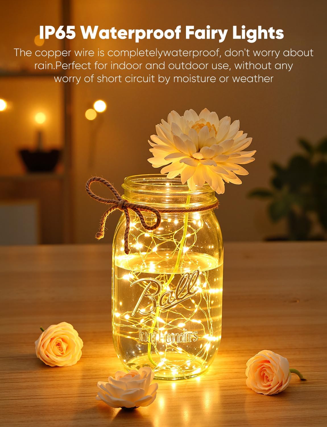 Brightown 24 Pack LED Fairy Lights Battery Operated String Lights, 7ft 20LED Waterproof Silver Wire String Lights, Firefly Starry Moon Lights for Mason Jars DIY Christmas Wedding Party Bedroom