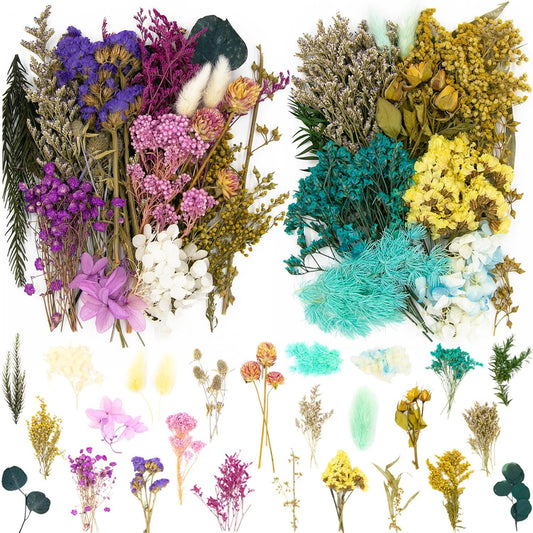 Vignee Real Dried Pressed Leaf Flowers-Multiple Colorful Pressed Flowers Daisies for Craft Resin Jewelry Making Art Craft DIY（Blue & Purple）