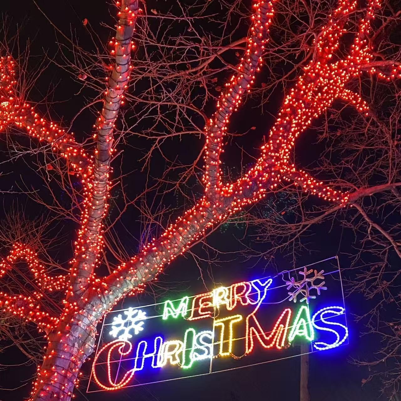 YEGUO 66ft 200 LED Red Halloween Lights Outdoor Waterproof, Green Wire Christmas String Lights Indoor, 8 Modes Twinkle Tree Light Plug in with Timer Memory