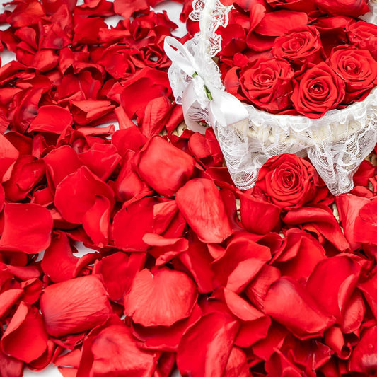 340 PCS Real Red Rose Petals, 3.17oz Dried Flower Confetti Petals for Wedding Flower Girl to Throw at Wedding Party, Romantic Night Bridal Shower Valentine's Day Decor