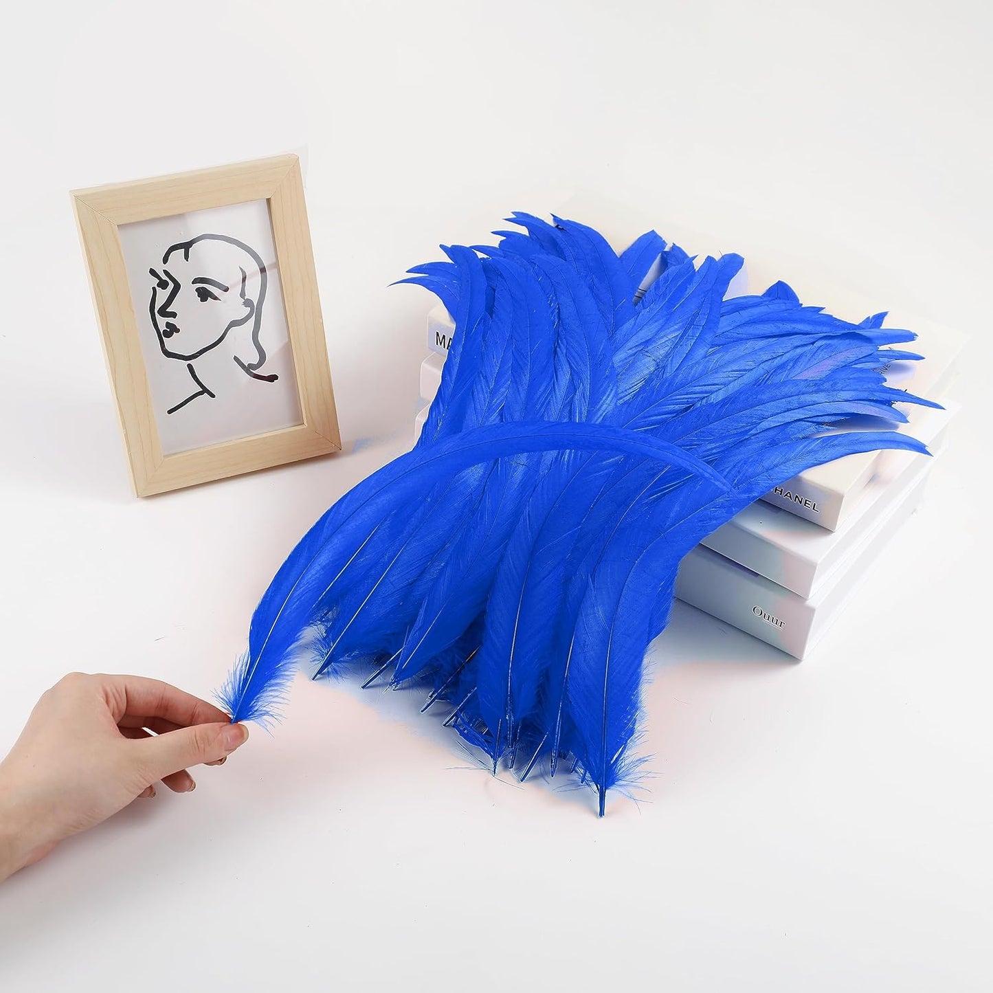 Holmgren Blue Rooster Feathers Bulk - 60pcs 12-14inch Natural Large Rooster Tail Feathers for DIY Crafts, Wing, Costume, Holiday Themed Party Decoration (Royal Blue)