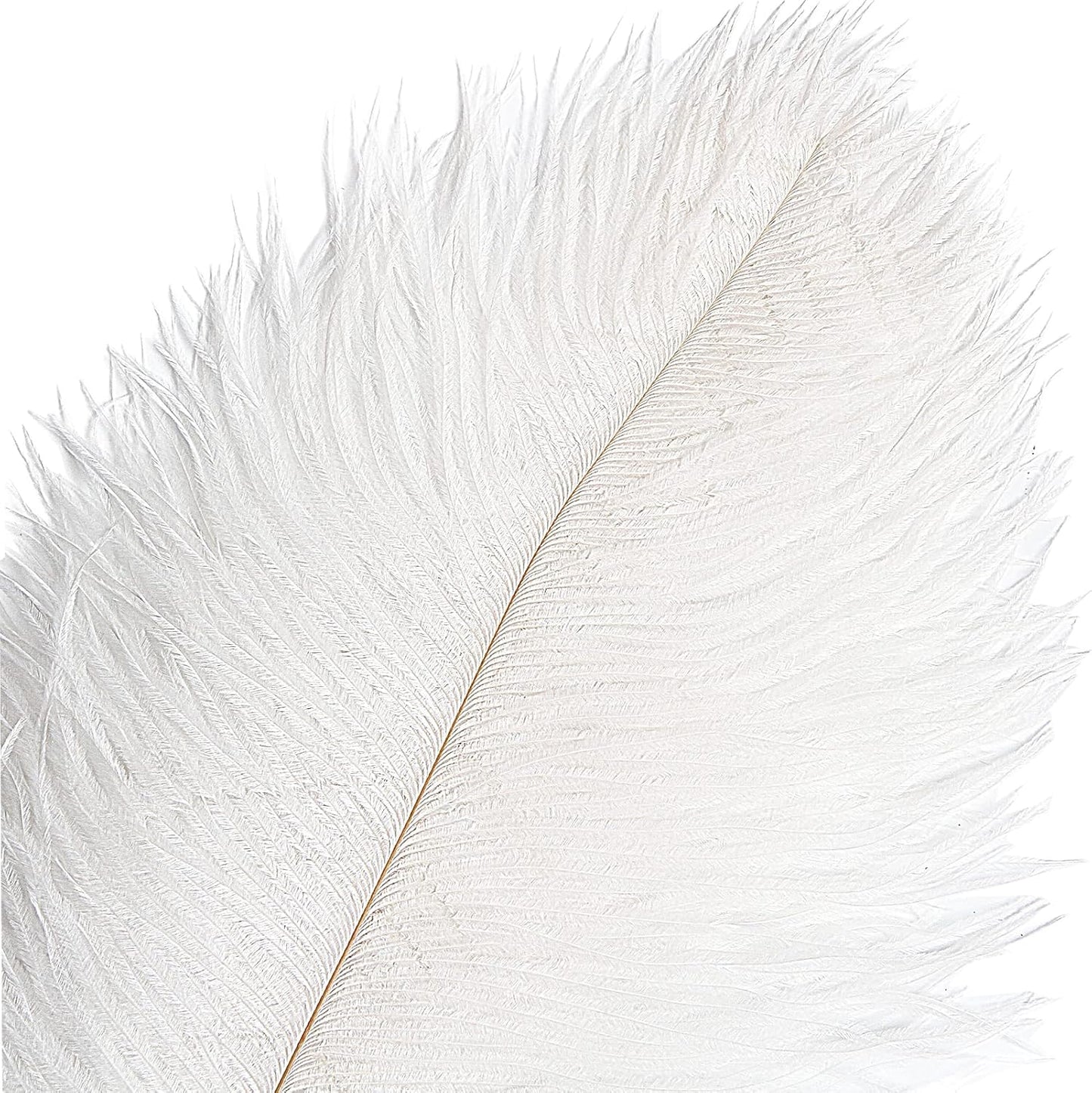 THARAHT 12pcs White Ostrich Feathers Natural Bulk 16-18Inch 40cm-45cm for Wedding Party Centerpieces Easter Gatsby and Home Decorate Ostrich Feathers