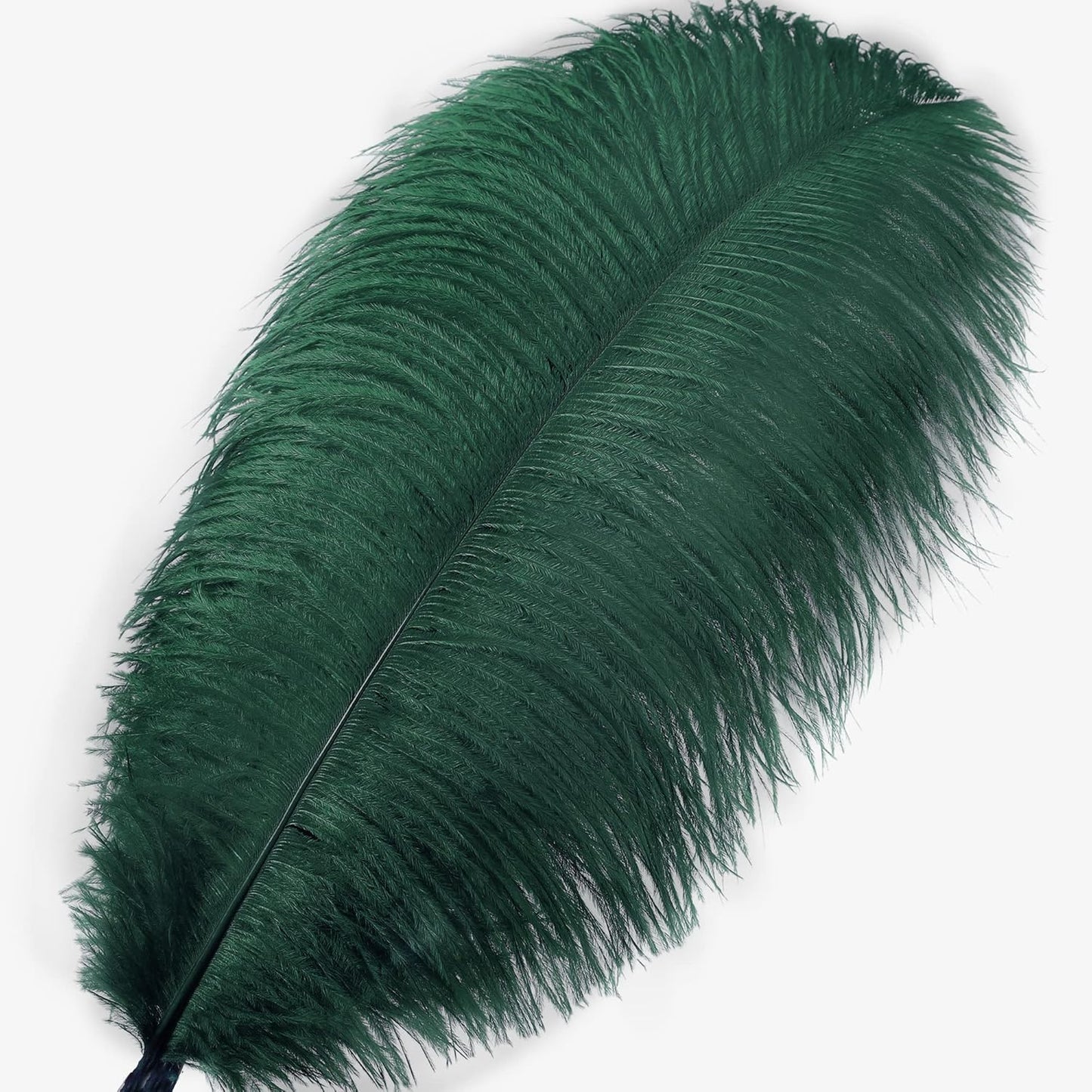 Larryhot Green Large Ostrich Feathers - 10pcs 16-18 inch Feathers for Vase and Wedding Party,Christmas Decor(Blackish Green)