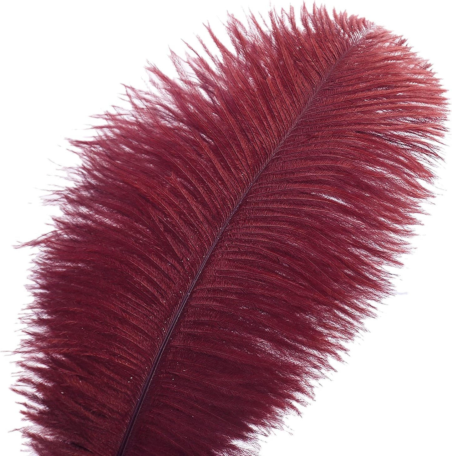 Ballinger Big Burgundy Ostrich Feathers - 24Pcs 8-10inch Wine Red Feathers for Party Centerpieces, Flower Arrangement and Home Decor