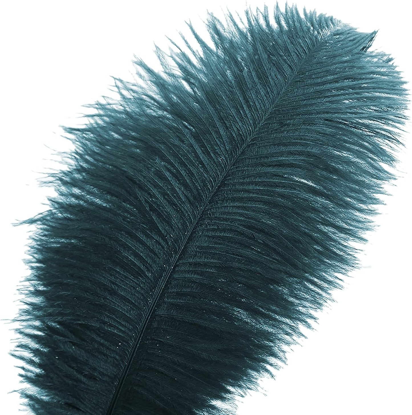Ballinger Teal Ostrich Feathers Bulk - 24Pcs 8-10inch Feathers for Party Centerpieces,DIY Crafts and Home Decor