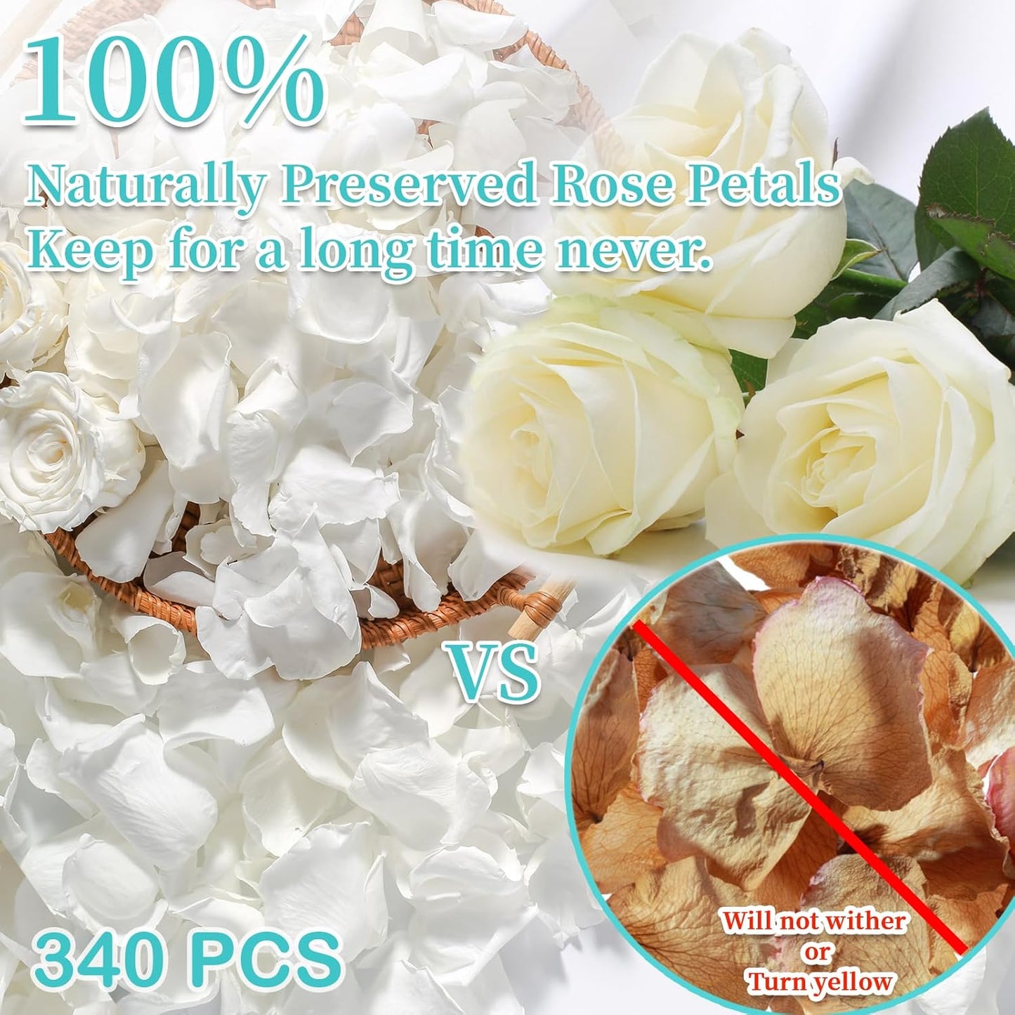 Real Ivory Rose Petals, Frozen Preserved Petals for, Wedding Party Decorations, Dried Flower Confetti, Table Centerpieces, Bridal Shower, 3.17 oz (90 g)