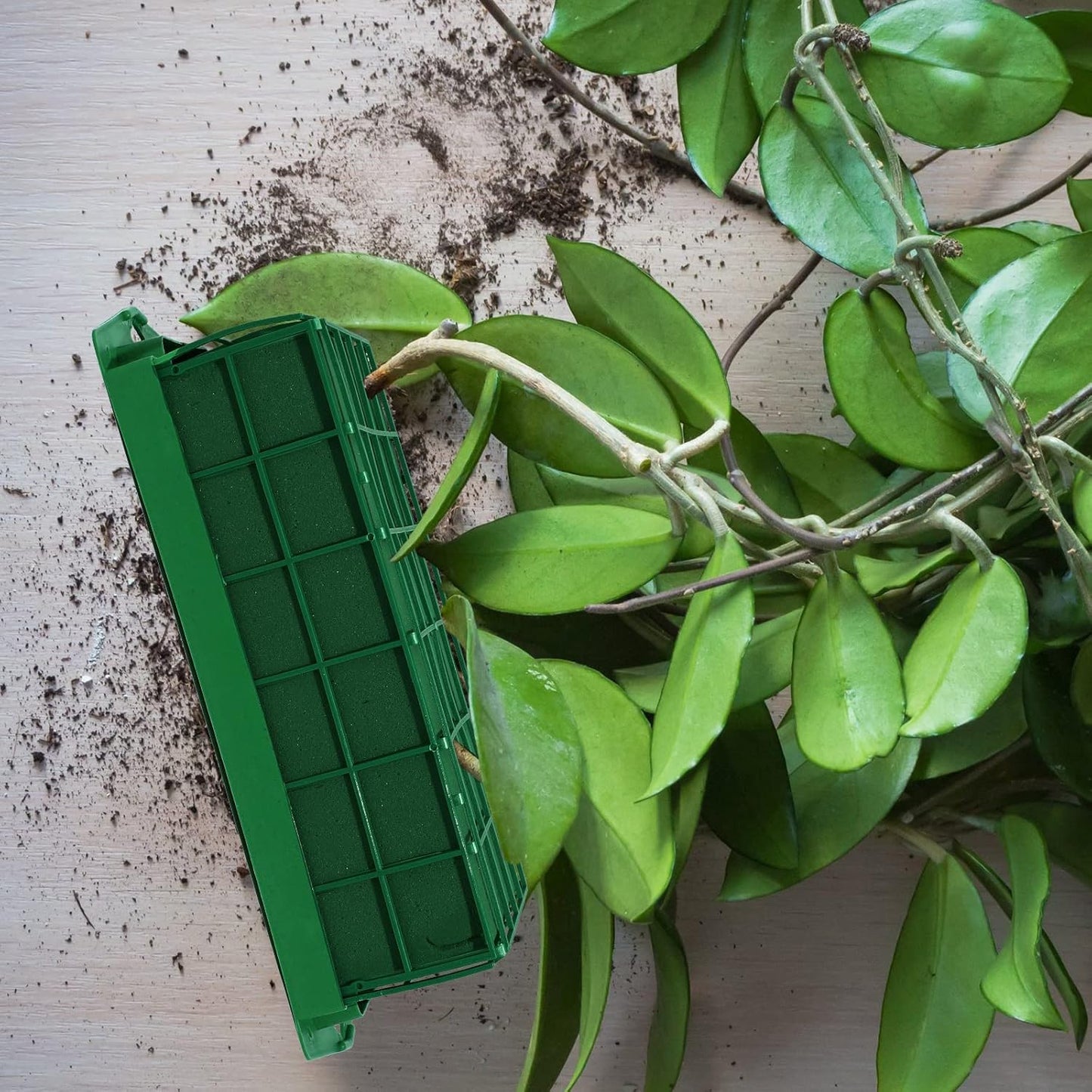 Boao 6 Pieces Floral Foam Cage Holder with Floral Foam for Fresh Flowers Cage Bowl for Table Centerpiece Flower Arrangement, Rectangle, 11.8 x 4.7 x 3.1 Inch