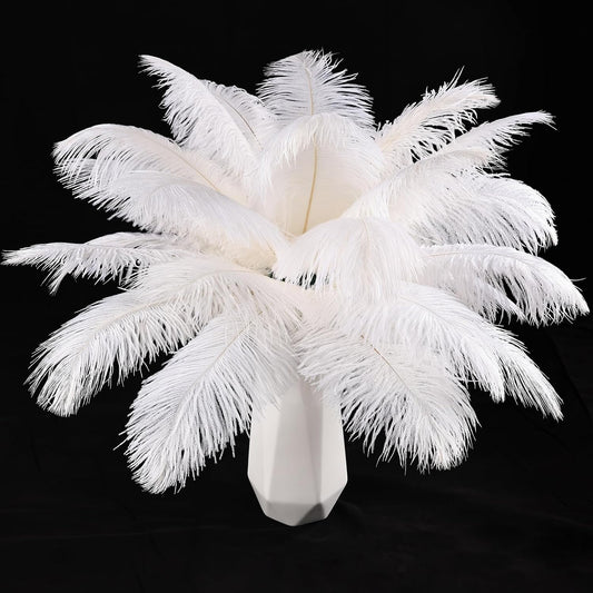 THARAHT White Ostrich Feathers 12pcs Natural Bulk 10-12Inch 25cm-30cm for Crafts Wedding Party Centerpieces Easter Gatsbi and Christmas Tree Decoration Feathers