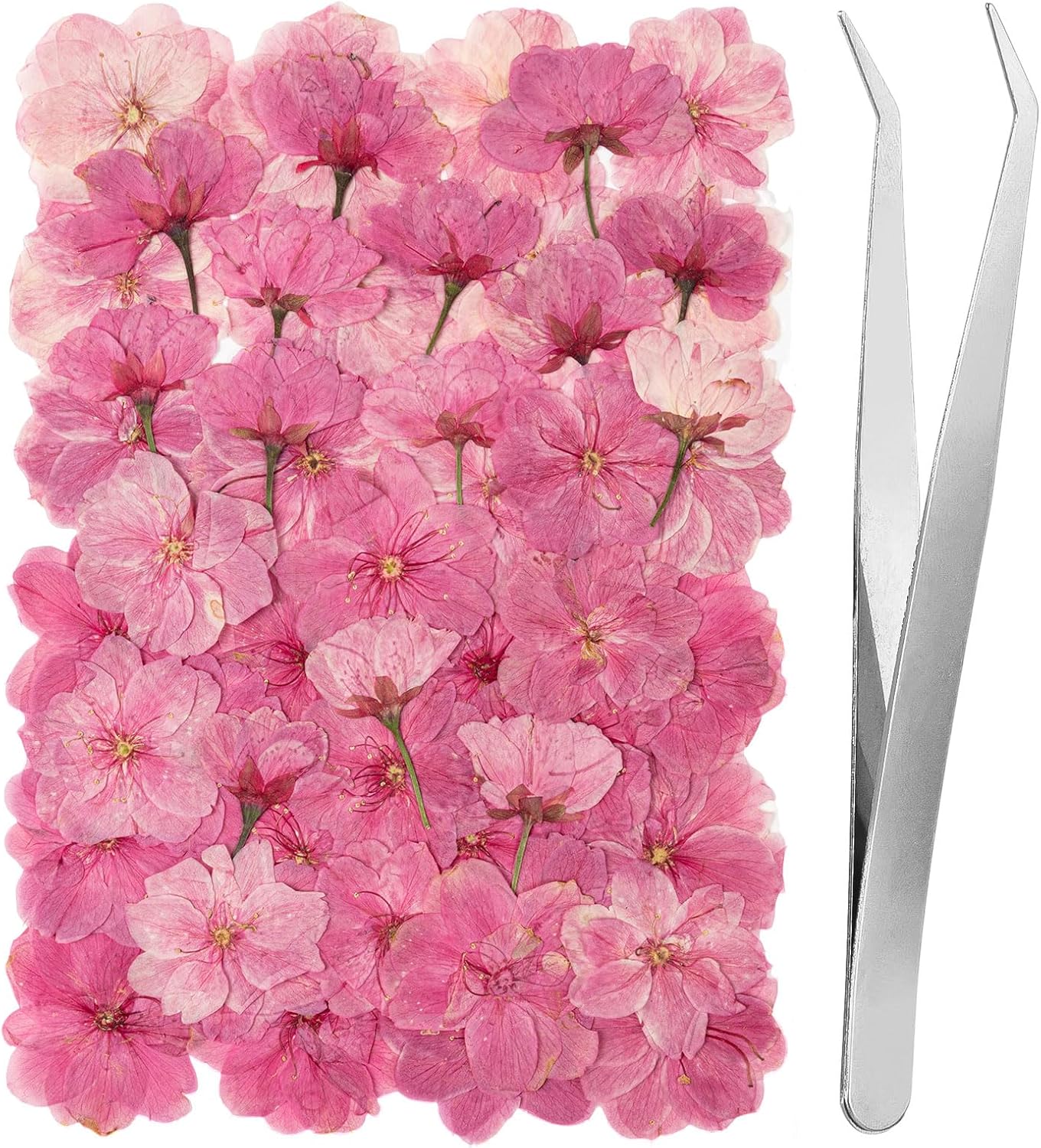 101 PCS Pressed Cherry Blossom for Crafts, Pink Dried Pressed Flowers for Resin DIY Jewelry Making Cake Card Scrapbook Decor, Dried Sakura Flowers for Soap Candle Making