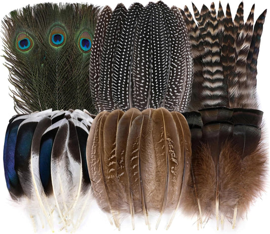 Holmgren 48pcs Natural Feathers Bulk - 6 Styles Assorted Peacock, Pheasant, Turkey Feathers for Craft DIY Jewelry Hat Wedding Home Party Decoration
