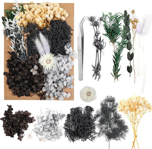 Dried Flowers,Dried Flowers Set for DIY Scrapbook Accessories Flower Arrangements Flower Decoration Wedding Decoration(Black)