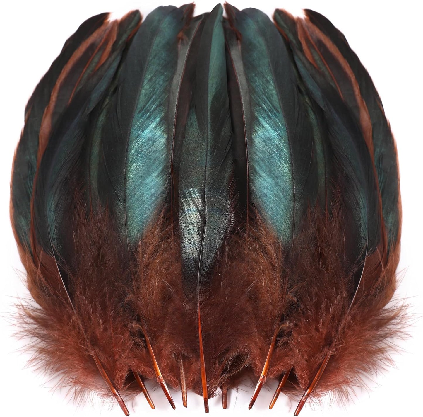 SOGUGOM Brown Rooster Tail Feathers - 200 pcs 5-7 inch Craft Feathers Bulk for Craft Projects, Halloween, Hats and Cocktail Table Centerpieces(Brown)