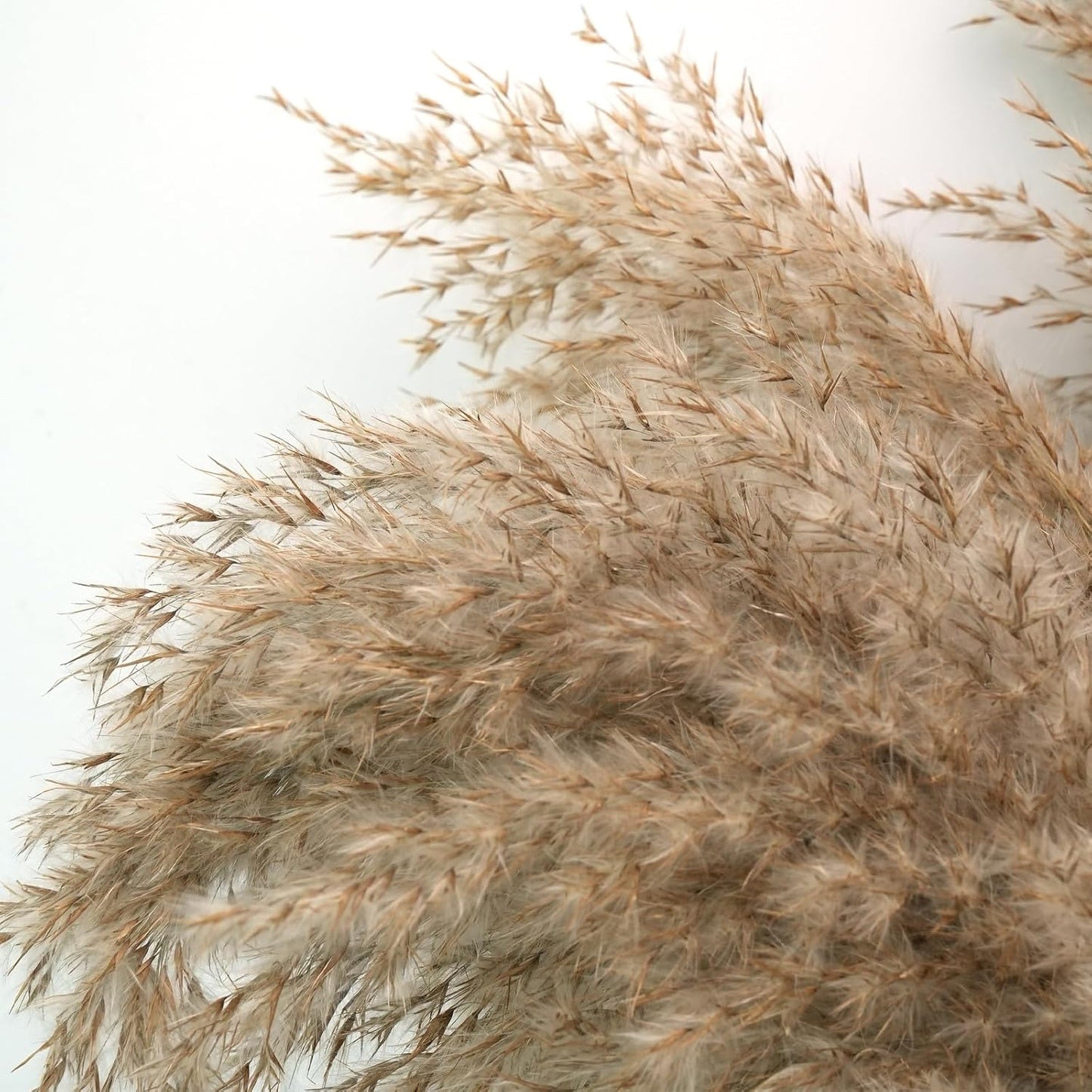 30-inch Tall Nature Pampas Grass Bouquet Decor - Boho Flowers and Feathers for Centerpieces, Perfect for Tall Floor Vase Fillers, Home Decor, Living Room, and Wedding Decor (20Pcs)