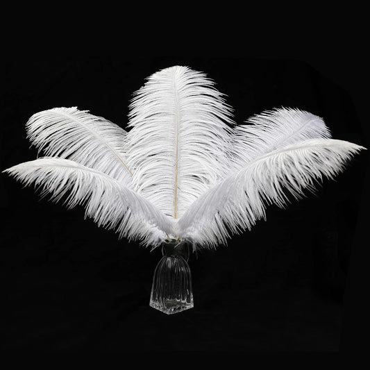 12pcs Natural White Ostrich Feathers 12-14inch (30-35cm) for Wedding Party Centerpieces，Flower Arrangement and Home Decoration.