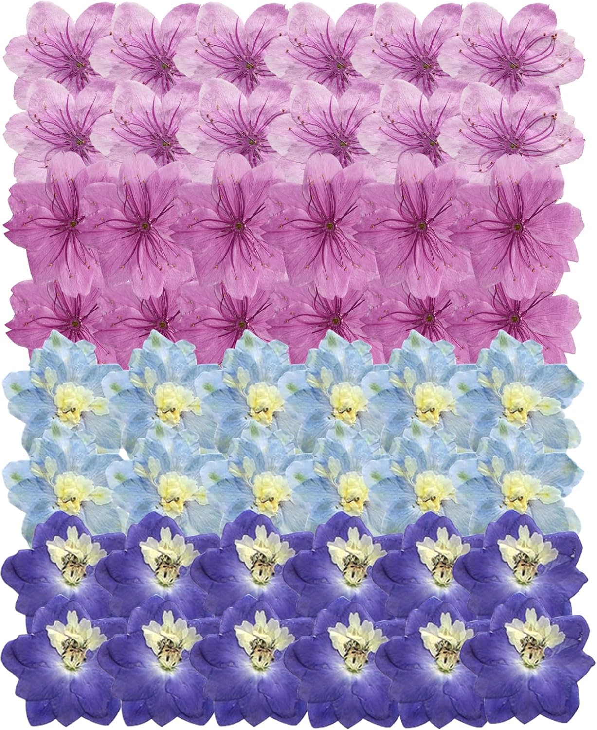48 Pcs Dried Pressed Flowers for Resin DIY Art Crafts Natural Dry Sakura Larkspur Floral Epoxy Jewelry Real Flower Decor Cakes Phone Cases Candles Handmade Soap