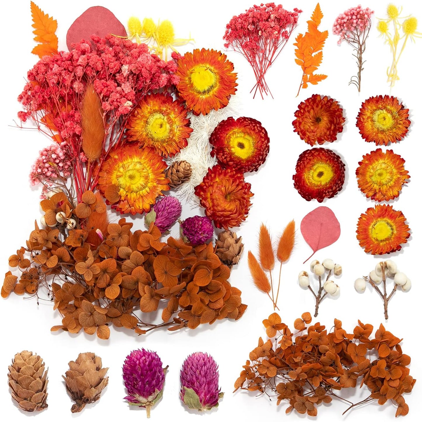 Vignee Real Dried Pressed Leaf Flowers-Multiple Colorful Pressed Flowers Daisies for Craft Resin Jewelry Making Art Craft DIY（Red）