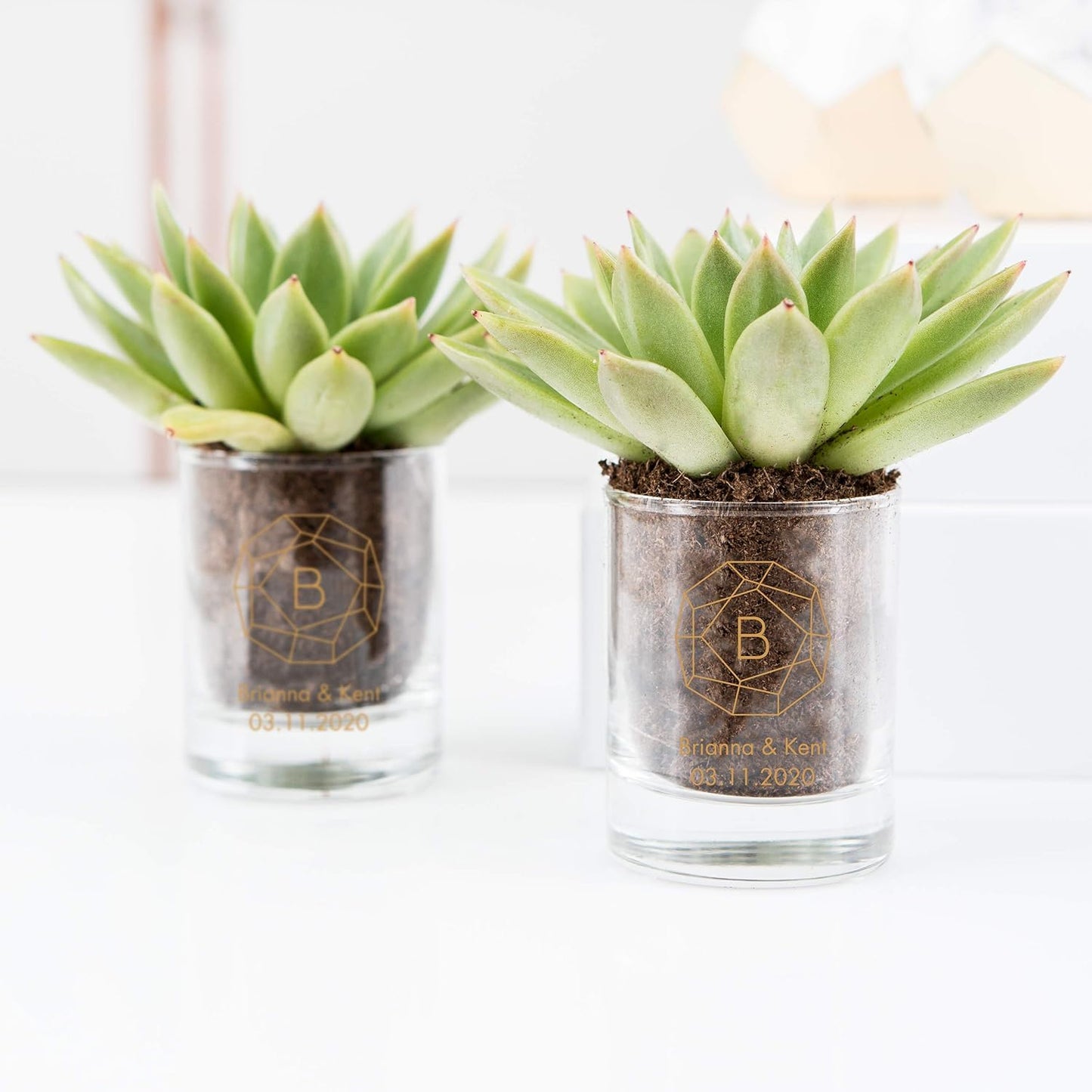 WEDDINGSTAR Personalized 2.75oz Shot Glass Customizable Full Color Print - 180 pack