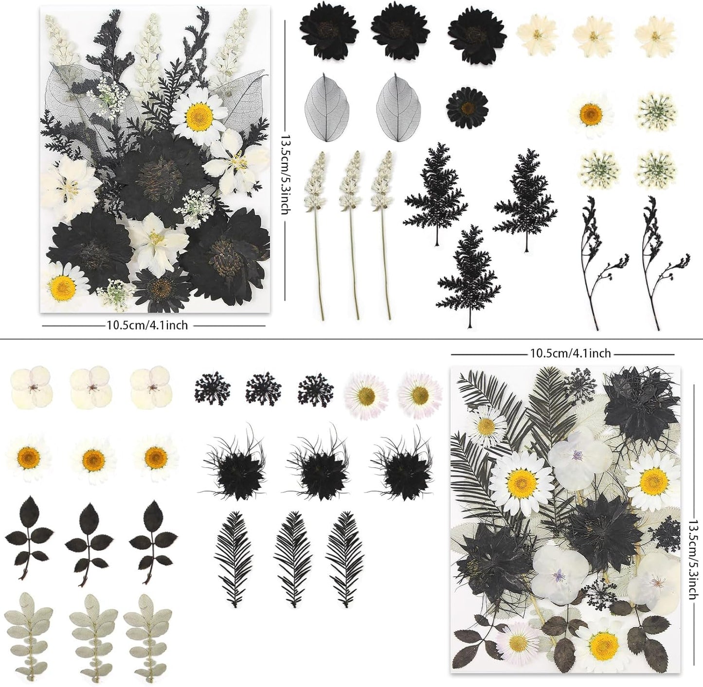 90P Black & White Dried Flowers for Crafts, Real Natural Pressed Flowers in Halloween-Style Tones for Resin Art, DIY Crafts, Jewelry & Candle Decor – Tweezers Included