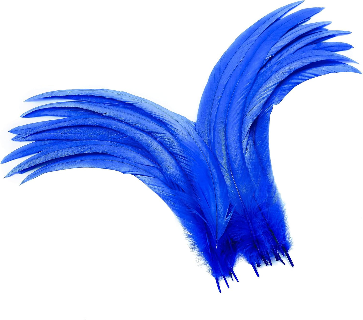 Holmgren Blue Rooster Feathers Bulk - 60pcs 12-14inch Natural Large Rooster Tail Feathers for DIY Crafts, Wing, Costume, Holiday Themed Party Decoration (Royal Blue)