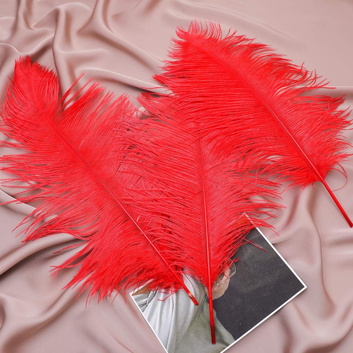 Ballinger Red Large Ostrich Feathers - 12Pcs 14-16inch Large Feathers for Vase,Wedding Party Centerpieces and Home Decor