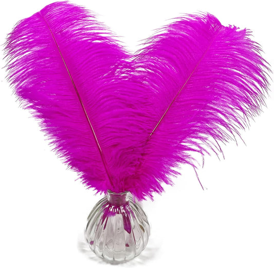 Happy Feather 16-18 inch Fuchisa Ostrich Feathers Craft for Wedding Party Centerpieces Home Decoration DIY Craft Pack of 10