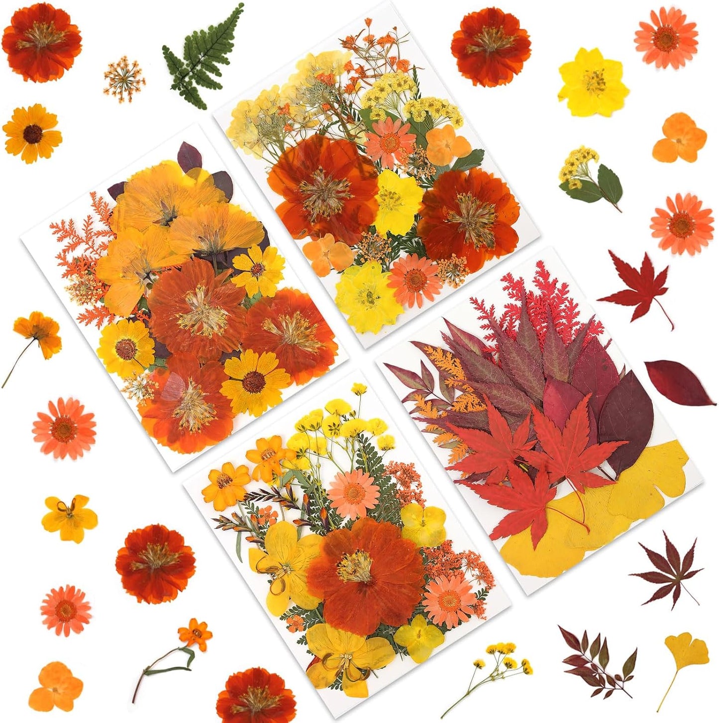80P Autumn Tone Dried Flowers for Crafts - Real Natural Pressed Flowers in Warm Fall Hues for Resin, DIY Art, Jewelry, Thanksgiving Decor & Pumpkin Decoration – Tweezers Included
