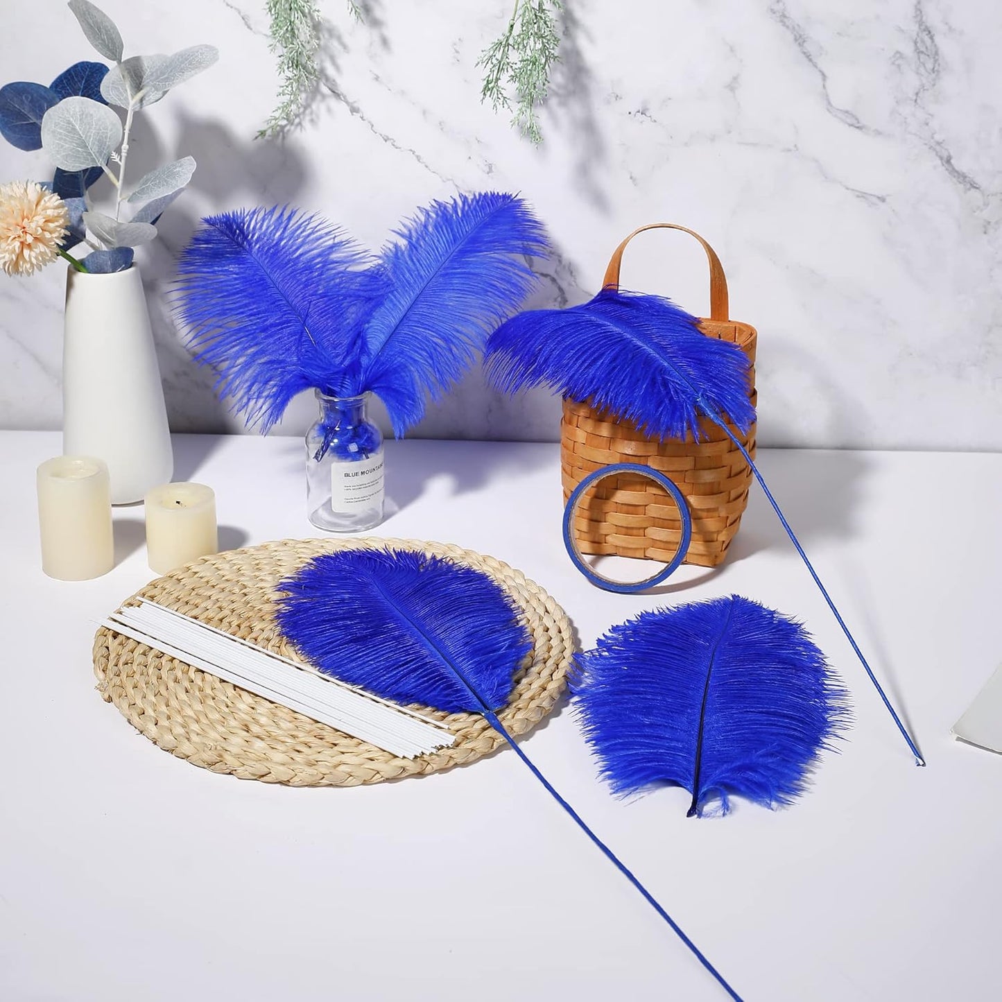 Holmgren Royal Blue Ostrich Feather - 20pcs Making Kit 22 Inch Large Ostrich Feathers for Vase, Floral Arrangement, Wedding Party Centerpieces Home Decorations (Royal Blue)