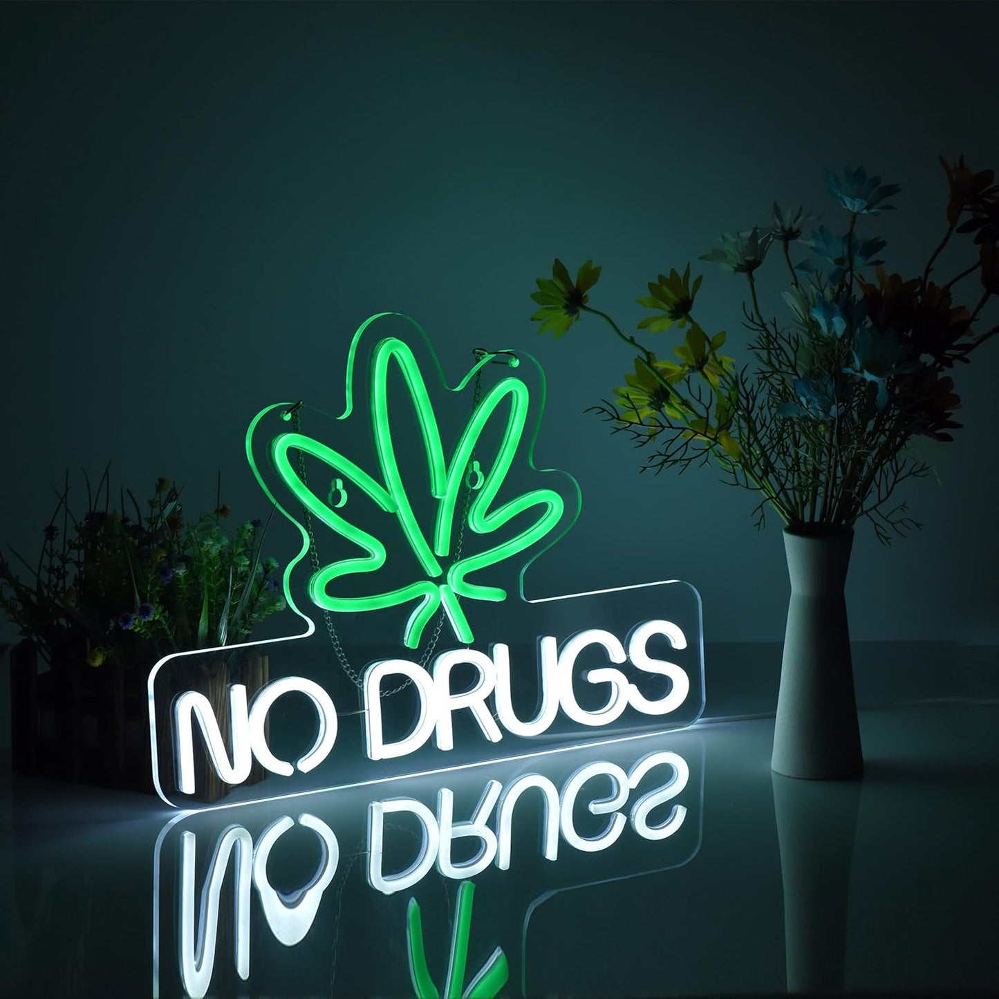Neon Sign for Wall Decor No Drugs Marijuana Beer Bar Home Art Neon Light LED Neon Lights Signs with Dimmer for Man Cave Wall Sign