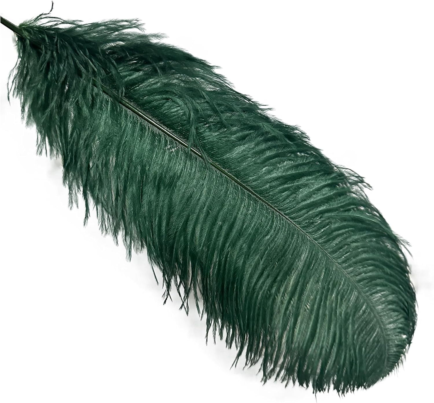 Happy Feather 16-18 inch Blackish Green Ostrich Feathers Craft for Wedding Party Centerpieces Home Decoration DIY Craft Pack of 10