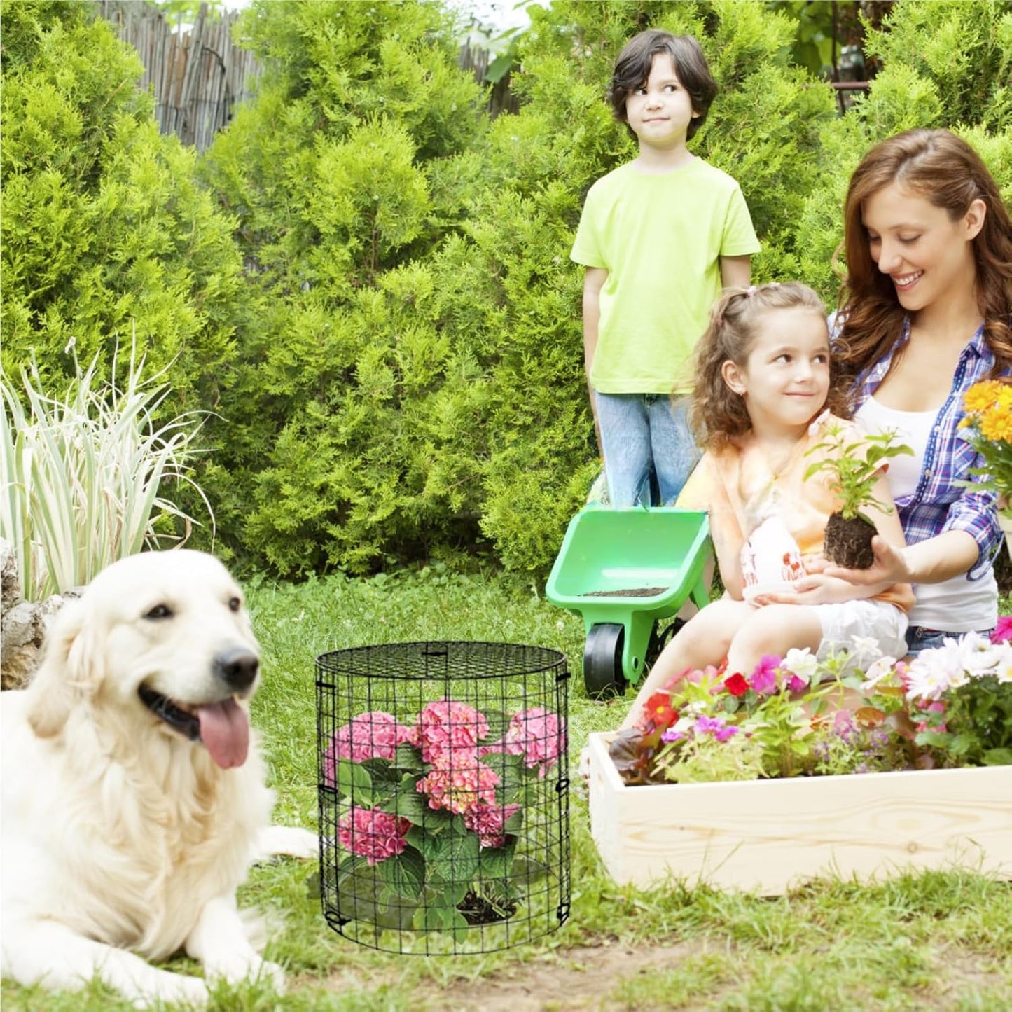 5 Packs Garden Plant Protectors from Animals,Metal Plant Cage Chicken Wire Cloche with Ground Stakes and Nylon Tie,Garden Plant Protectors for Flower Vegetable to Keep Animals Out-11.8"x 12.6"