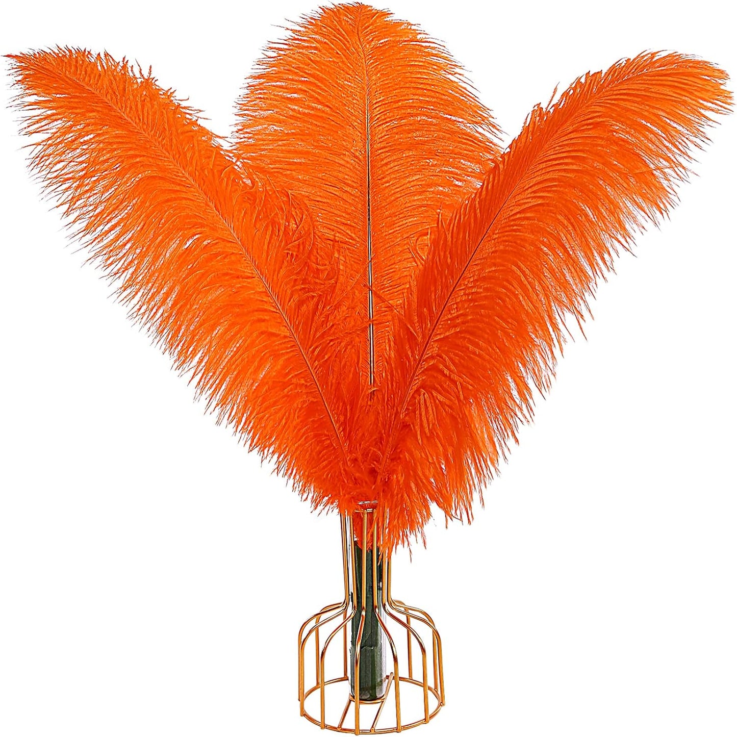 THARAHT Orange Ostrich Feathers 12pcs Large Natural Bulk 12-14Inch 30cm-35cm for Wedding Party Centerpieces Halloween and Home Decoration Feathers