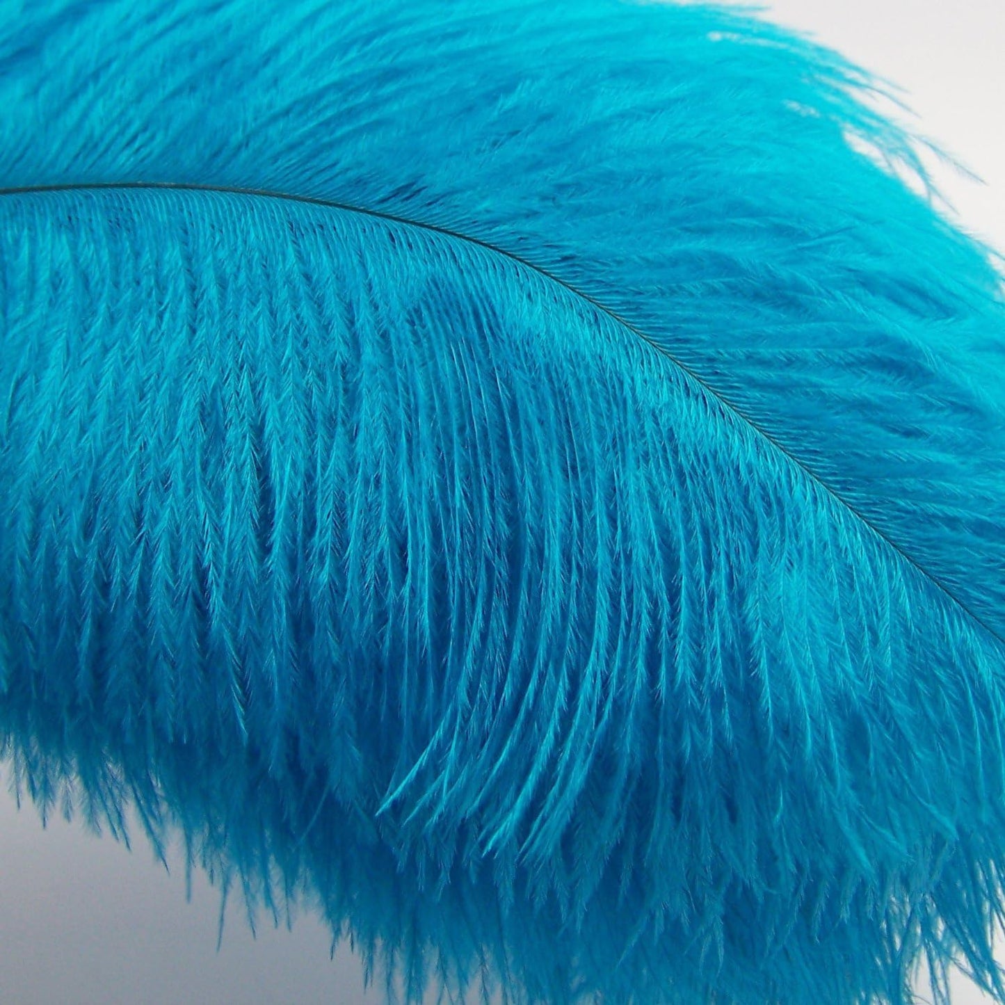 KOLIGHT® 40pcs 12''~14''(30~35cm) Natural Ostrich Feathers for DIY Home Wedding Party Office Decoration (Sky-blue)