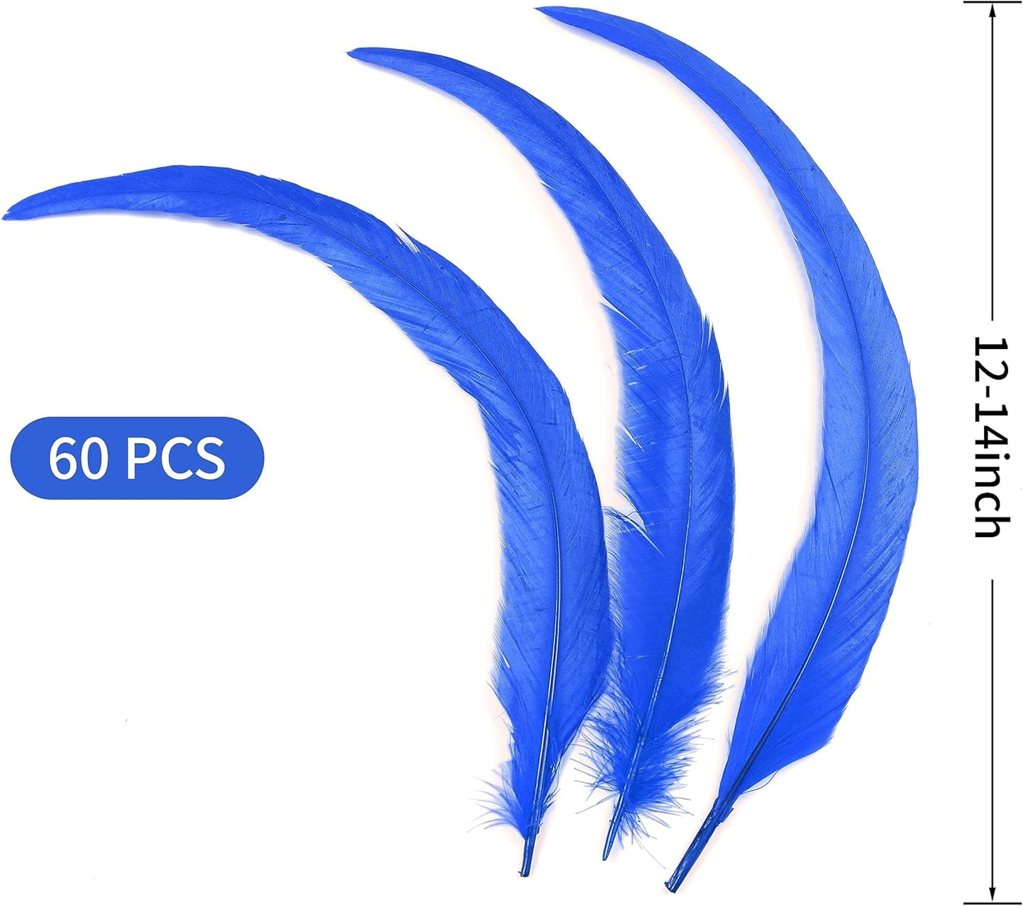 Holmgren Blue Rooster Feathers Bulk - 60pcs 12-14inch Natural Large Rooster Tail Feathers for DIY Crafts, Wing, Costume, Holiday Themed Party Decoration (Royal Blue)