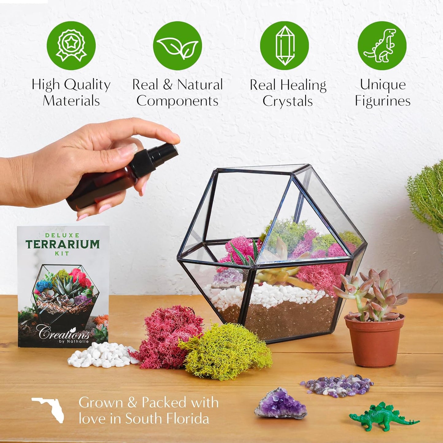 – Premium Small DIY Terrarium Kit for Succulents, Cacti & Air Plants, Includes Soil, Moss, Pebbles, Tools, Amethyst Gem & Crystal Chips – Handmade in USA