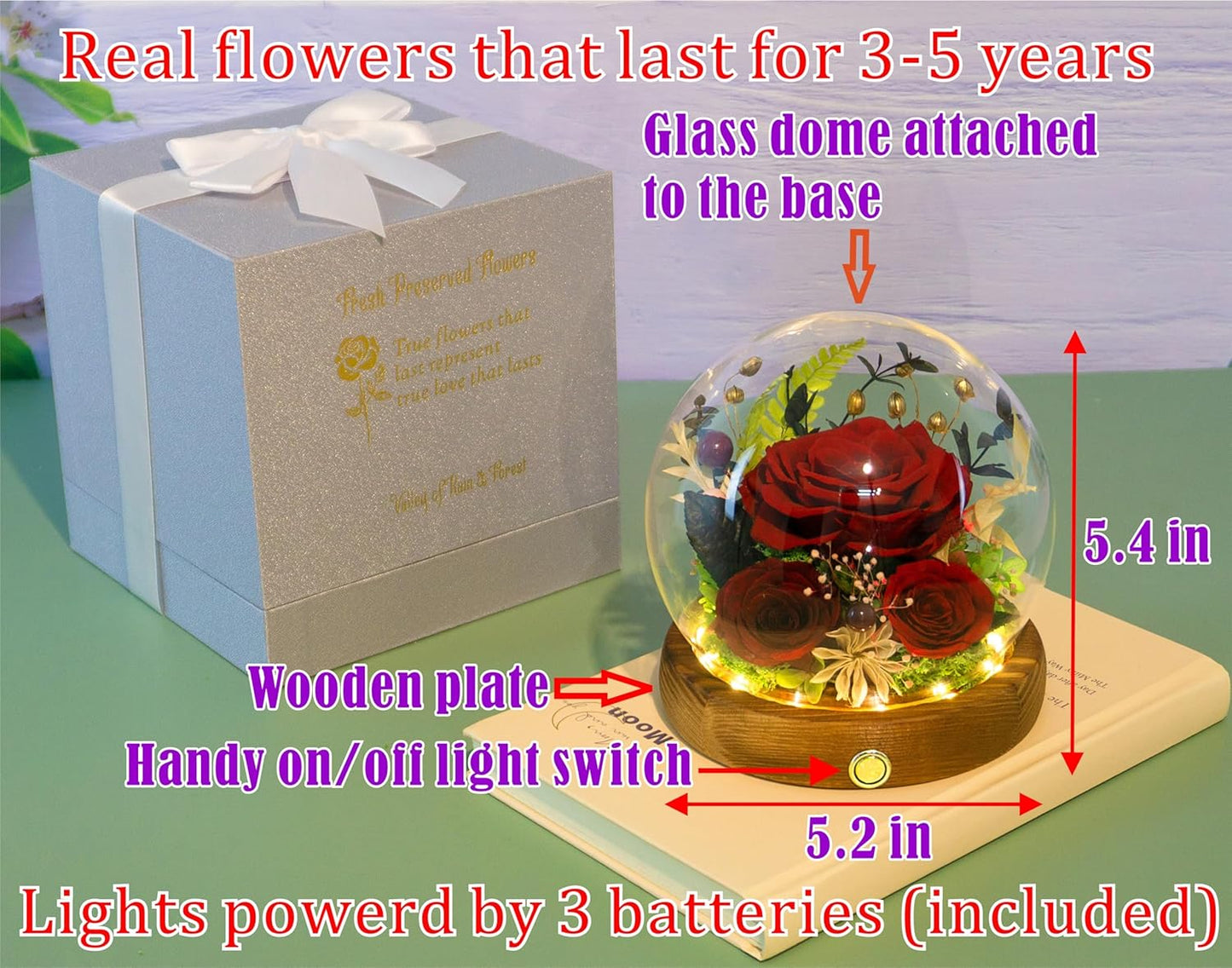 Valley of Rain & Forest Long-Lasting Real Flowers, Unique Floral Gift for You to Send Love for All Occasions, for Indoor Decoration (Dark Red Rose Arrangement)