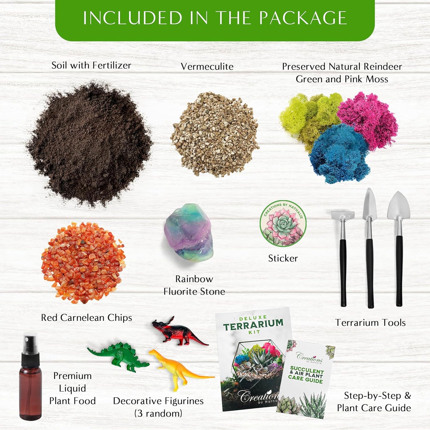 – Premium Small DIY Terrarium Kit for Succulents, Cacti & Air Plants, Includes Soil, Moss, Pebbles, Tools, Amethyst Gem & Crystal Chips – Handmade in USA