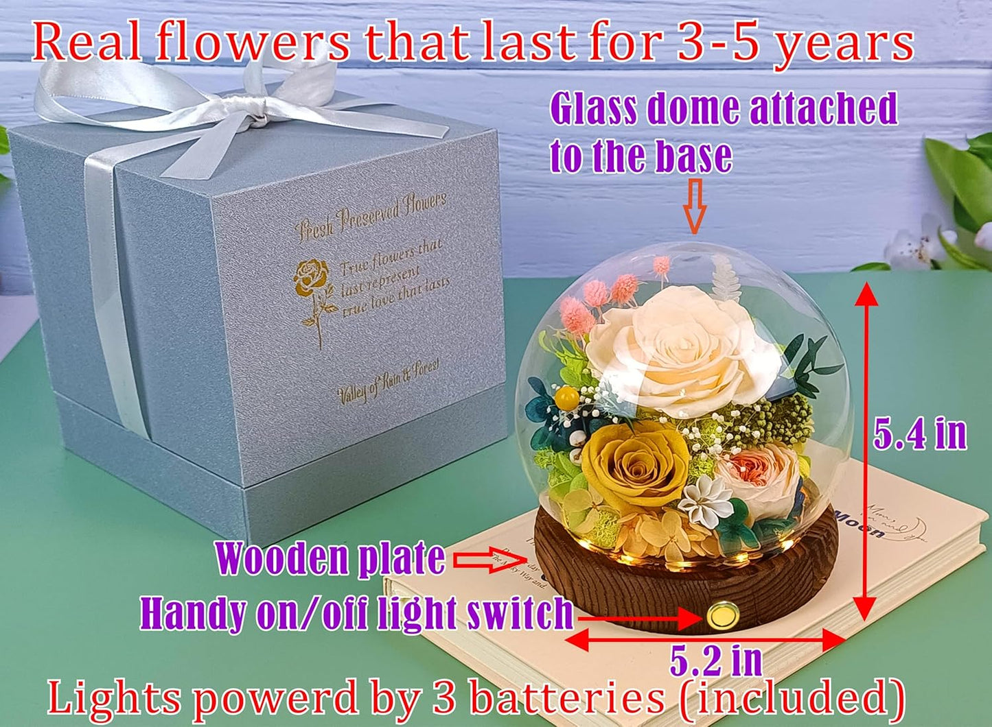 Valley of Rain & Forest Long-Lasting Real Flowers, Unique Floral Gift for You to Send Love for All Occasions, for Indoor Decoration (Champagne & Yellow Roses Arrangement)