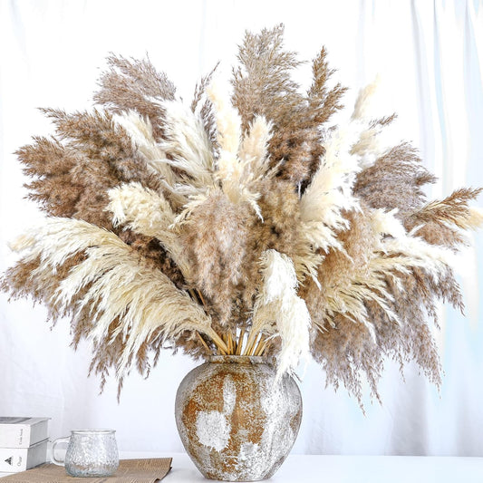 20 PCS Dried Flower, 30-inch Tall Nature Pampas Grass Bouquet Decor - Boho Flowers and Feathers for Centerpieces, Perfect for Tall Floor Vase Fillers, Living Room, and Wedding Decor(White, Natural)