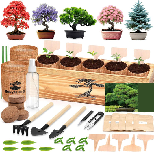 5 Pack Bonsai Tree Kit - 5 Seeds Growing Plant Bonsai Tree Live Kit for Beginners, Easy to Grow Complete Indoor Garden Starter Kits with Wooden Box & Tools, Christmas Gifts for Men Women Plant Lover
