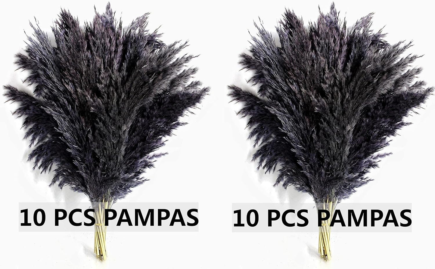 Black Pampas Grass for Home Decor - Elegant Boho Decor - Premium Quality Pampas Grass Stems - Perfect for House, Nursery, Western, Wedding, Table, and Bohemian Decor (20PCS)