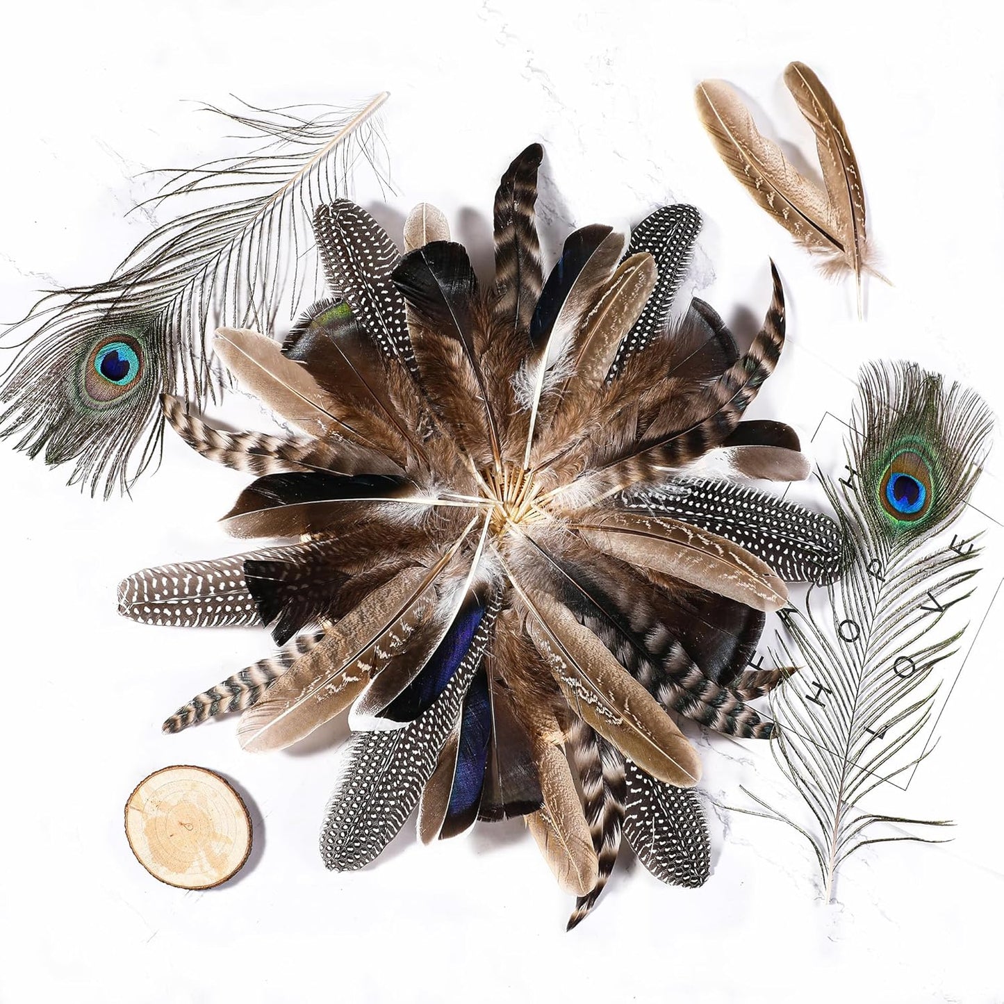 Holmgren 48pcs Natural Feathers Bulk - 6 Styles Assorted Peacock, Pheasant, Turkey Feathers for Craft DIY Jewelry Hat Wedding Home Party Decoration